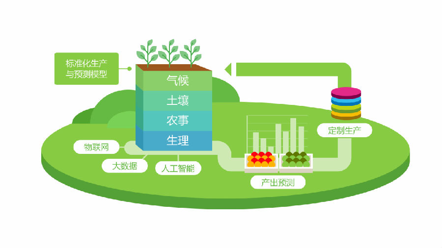 全国农民合作社典型案例：​创新土地托管模式，助力农业“智慧”转型